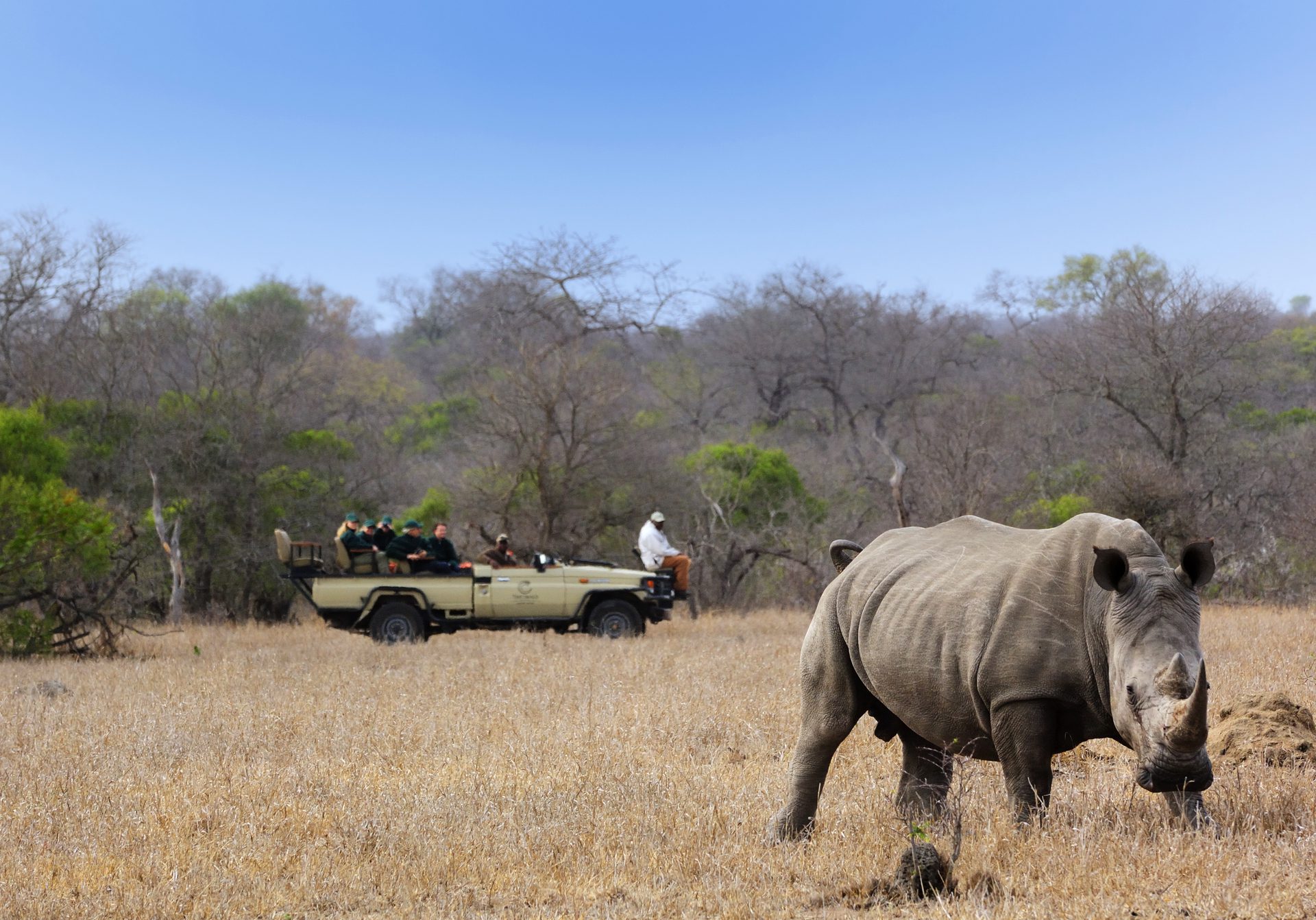 Rhino Conservation Program